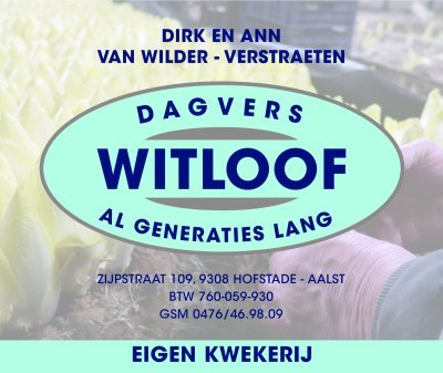 Grondwitloof Van Wilder-Verstraeten