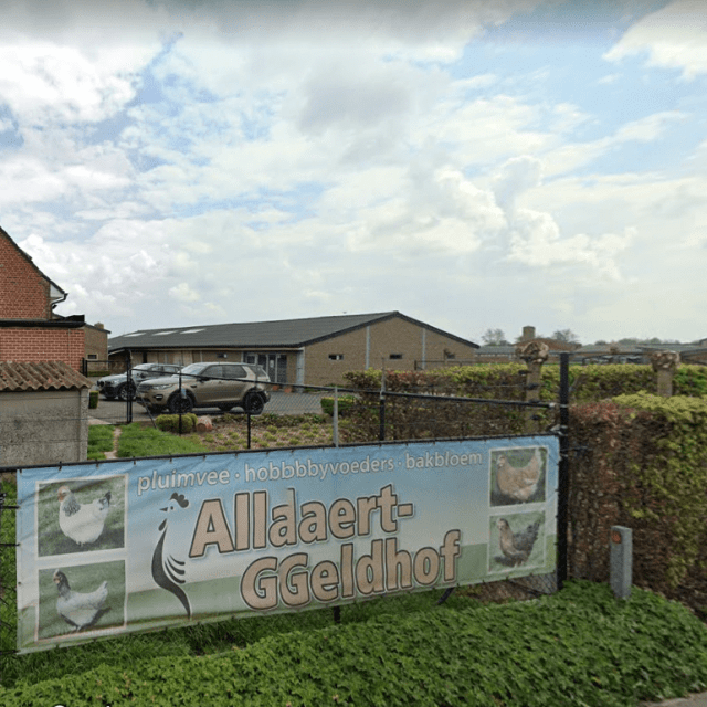 Allaert-Geldhof